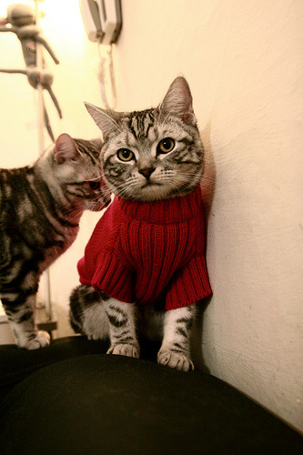 湖人稳扎稳打轻取奇才,小贾伦季后赛模式开启接管比赛