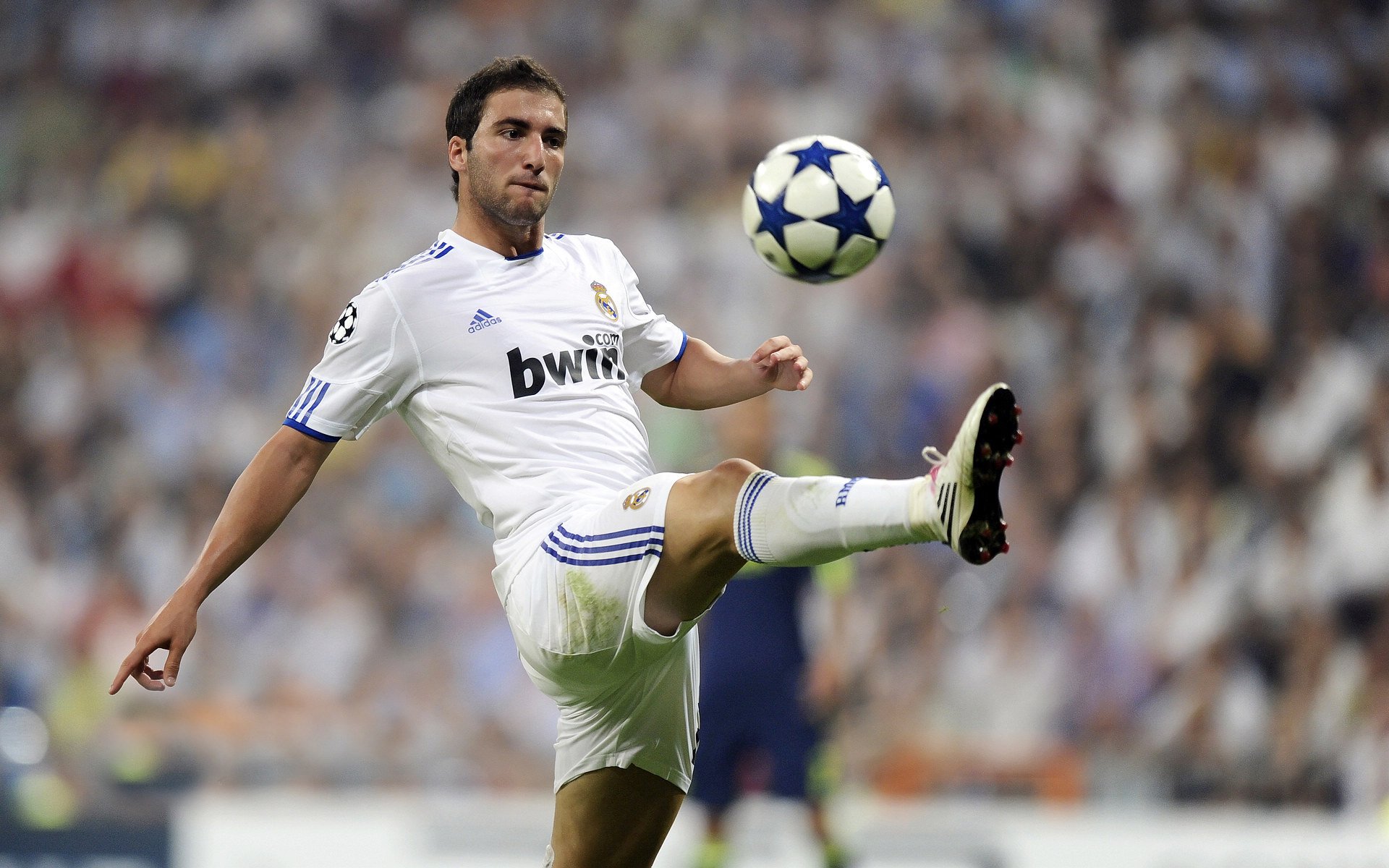 厄德高在焦点战证明自己,国际米兰打穿卡塔尔,双线战场上的战术与意志